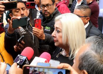 Ofrece Tamaulipas envío de placas a domicilio: Adriana Lozano