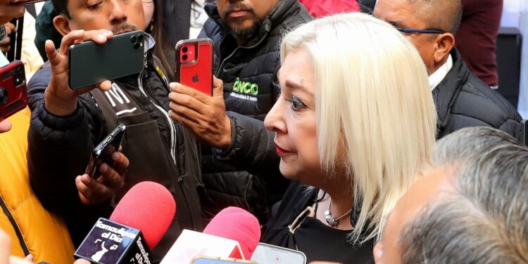 Ofrece Tamaulipas envío de placas a domicilio: Adriana Lozano