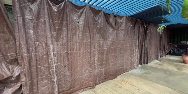 Aplica Comisión de Parques protocolos en fauna ante bajas temperaturas