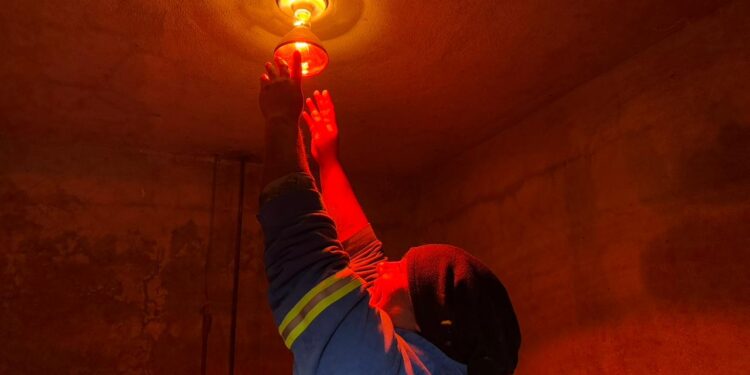 Aplica Comisión de Parques protocolos en fauna ante bajas temperaturas