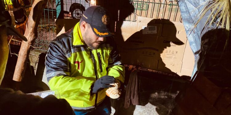 Atiende Protección Civil Tamaulipas a personas vulnerables ante bajas temperaturas