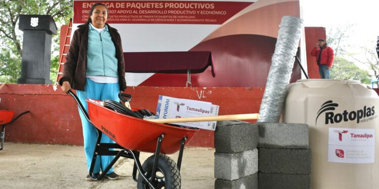 Reciben familias tamaulipecas paquetes de huertos de traspatio