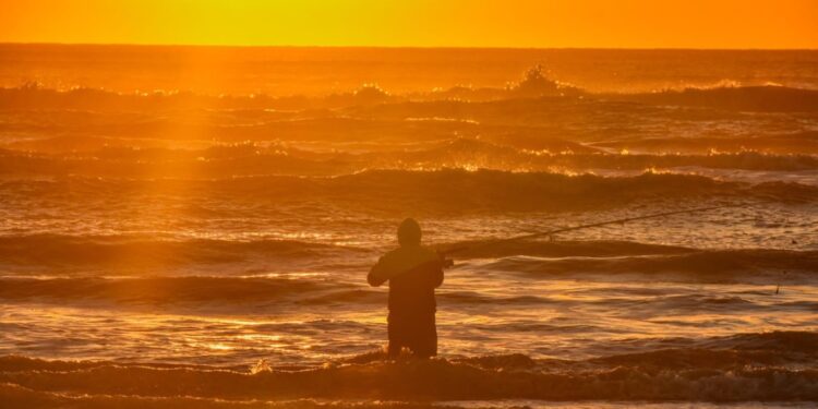 Arranca Copa Tamaulipas 2025 con torneo de pesca en Playa Bagdad