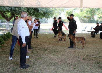 SSPT despide con honores a caninos retirados del servicio activo
