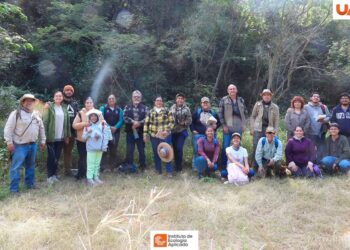 Promueve la UAT programa para la conservación de plantas nativas polinizadoras
