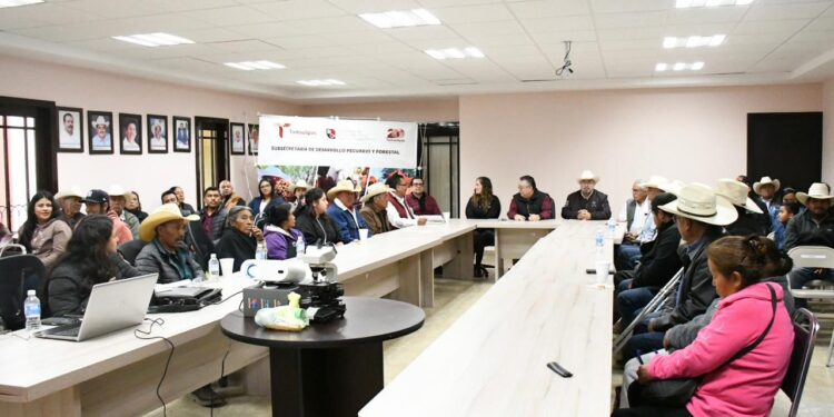 Realizan con éxito Primer Festival del Cabrito