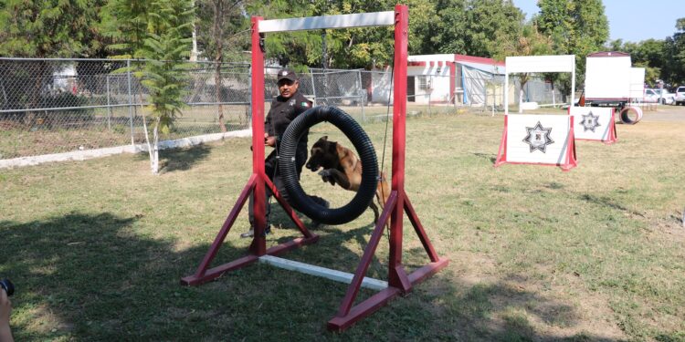 De compañeros a familia: policía de la Guardia Estatal adopta a canino retirado