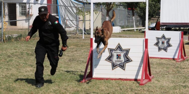 De compañeros a familia: policía de la Guardia Estatal adopta a canino retirado