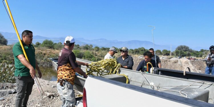 Rescata Comisión de Parques cocodrilo en ejido El Olmo