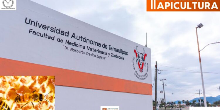 Impartirá la UAT un diplomado en Apicultura