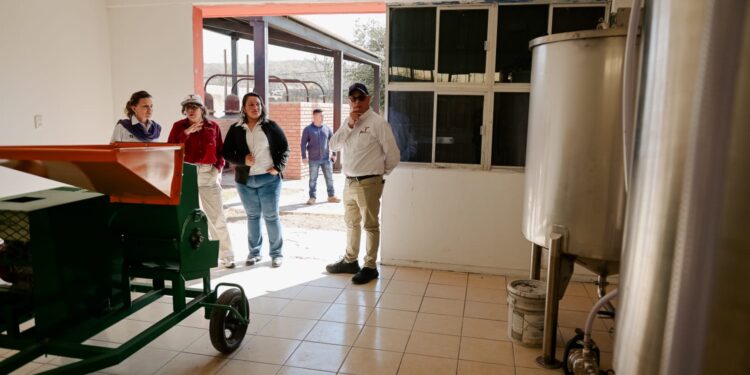 Economía, Bienestar e ITCA promoverán industria del mezcal en San Carlos