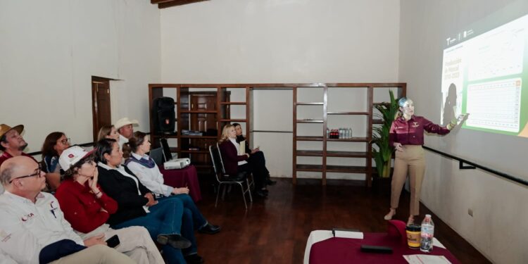 Economía, Bienestar e ITCA promoverán industria del mezcal en San Carlos