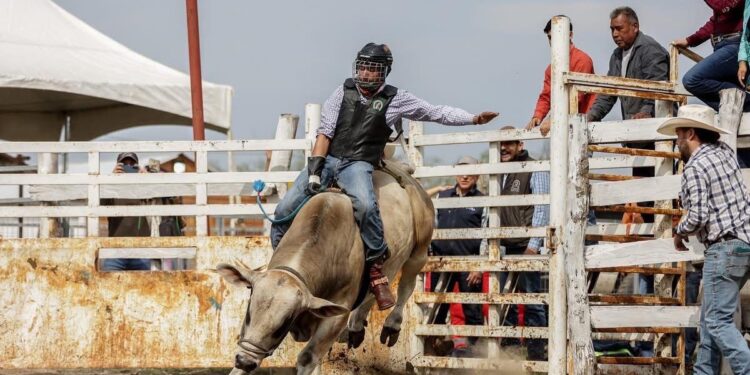 Brilla rodeo tamaulipeco en etapa estatal rumbo a los Nacionales