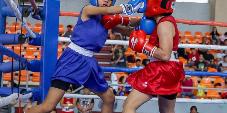 Campeones tamaulipecos de boxeo listos para la etapa macroregional