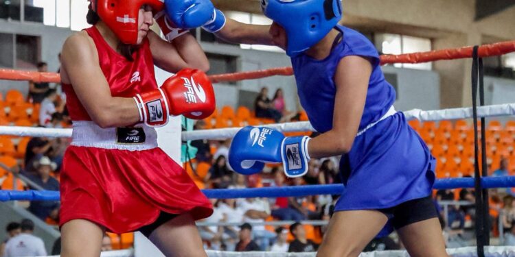 Campeones tamaulipecos de boxeo listos para la etapa macroregional