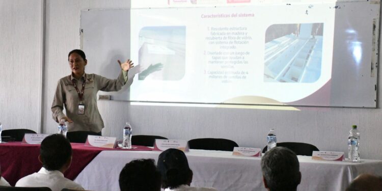 Presentan proyecto para el cultivo de ostión en Tamaulipas