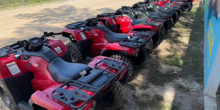 Vigilarán seis campos tortugueros en Tamaulipas con 14 cuatrimotos