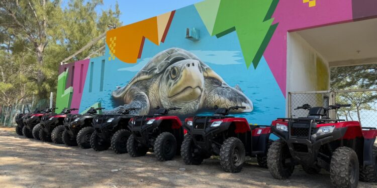 Vigilarán seis campos tortugueros en Tamaulipas con 14 cuatrimotos