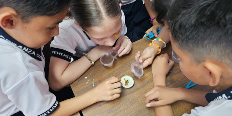 Celebraron escuelas el Día Internacional de la Mujer y la Niña en la Ciencia