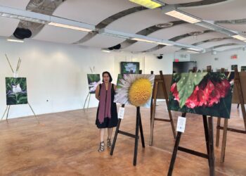 Exhiben la belleza de la Biósfera El Cielo a través de exposición fotográfica