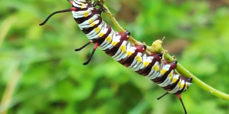 Exhiben la belleza de la Biósfera El Cielo a través de exposición fotográfica