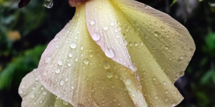 Exhiben la belleza de la Biósfera El Cielo a través de exposición fotográfica