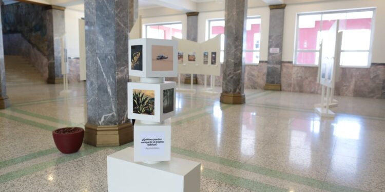 Invita ITCA a la exposición «Otras miradas de Tamaulipas» en Palacio de Gobierno