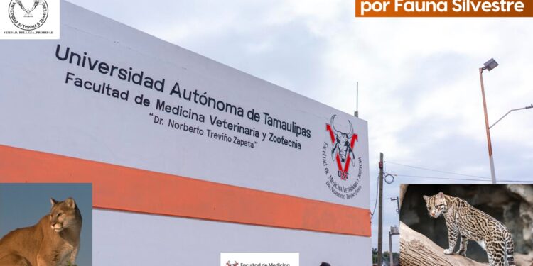 Imparte la UAT conferencias sobre Manejo y Prevención de Riesgos por Fauna Silvestre