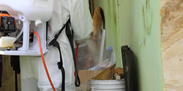 Aplica SST estrategia preventiva contra el dengue: elimina criaderos