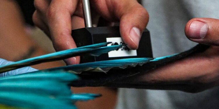 Refuerzan estudiantes conocimientos sobre la fauna en el Zoológico Tamatán