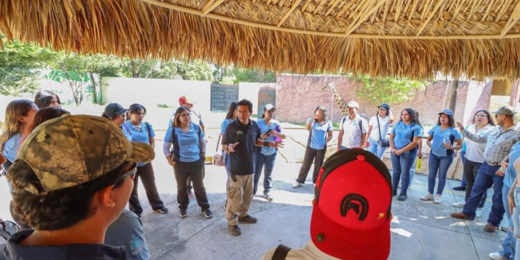 Refuerzan estudiantes conocimientos sobre la fauna en el Zoológico Tamatán