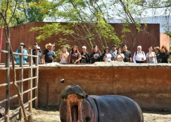 Refuerzan estudiantes conocimientos sobre la fauna en el Zoológico Tamatán