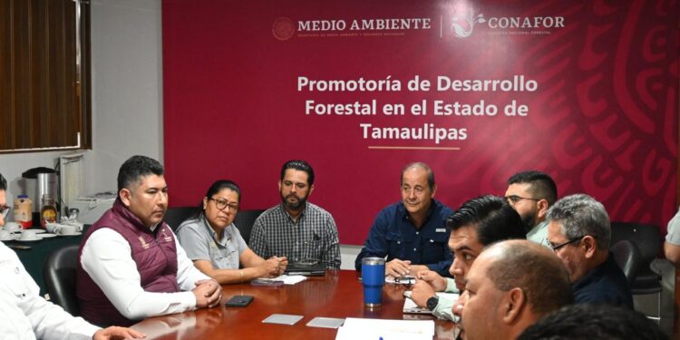 Realizan primera reunión ordinaria del Comité Estatal de Manejo del Fuego 2025