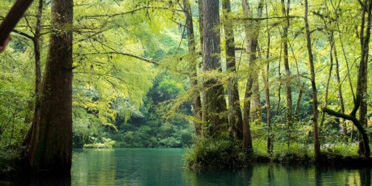 Concursan Miramar y El Cielo por los mejores destinos turísticos de México