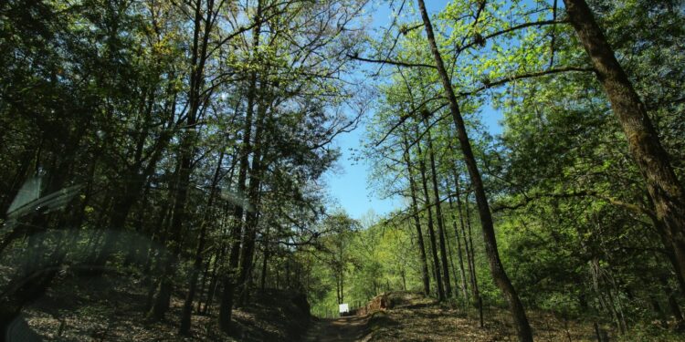Reafirman compromiso por la biodiversidad en El Cielo