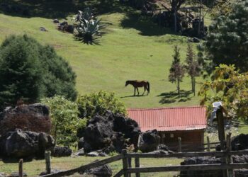Reafirman compromiso por la biodiversidad en El Cielo
