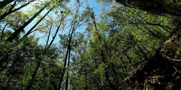 Reafirman compromiso por la biodiversidad en El Cielo