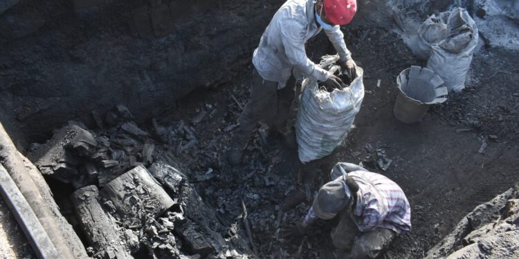 Ocupa Tamaulipas segundo lugar a nivel nacional en producción de carbón