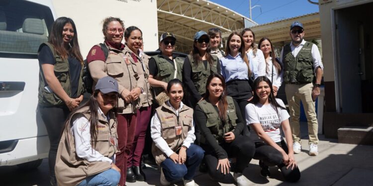 Realiza CRETAM investigación sobre desafíos educativos en la atención a migrantes