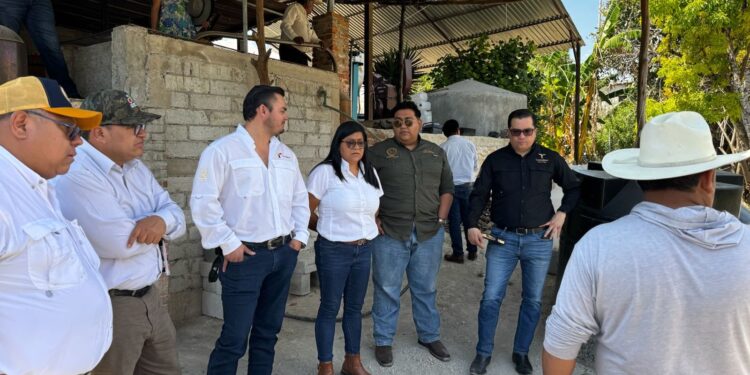 Promueven mezcal tamaulipeco en Puebla