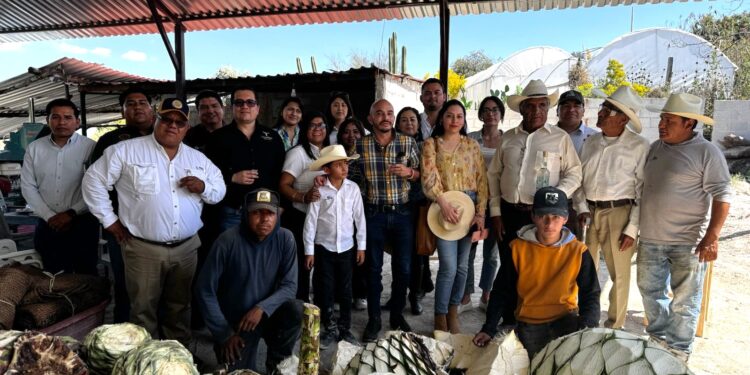 Promueven mezcal tamaulipeco en Puebla