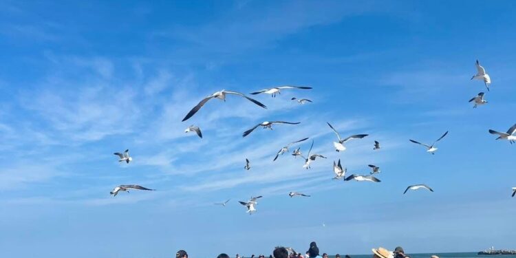 Presenta Turismo Tamaulipas los 10 destinos con mayor derrama económica en 2024