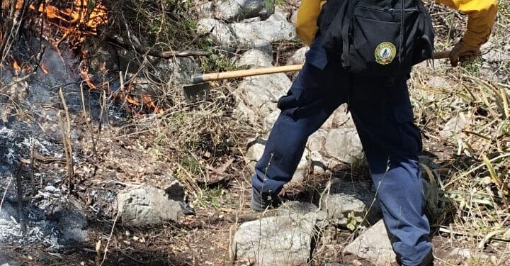 Liquidan incendios en Tamaulipas; se castigará a los responsables