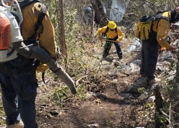 Liquidan incendios en Tamaulipas; se castigará a los responsables