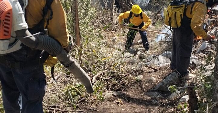 Liquidan incendios en Tamaulipas; se castigará a los responsables
