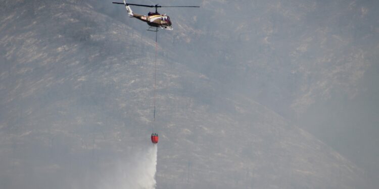 Liquidan incendios en Tamaulipas; se castigará a los responsables