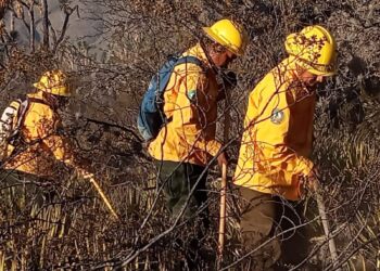 Refuerzan brigadistas de la SEDUMA combate a incendio de pastizales en Tula
