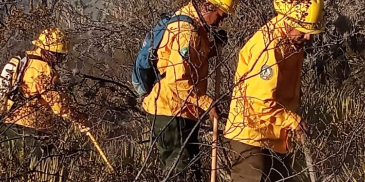 Refuerzan brigadistas de la SEDUMA combate a incendio de pastizales en Tula