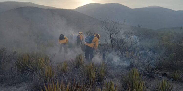 Refuerzan brigadistas de la SEDUMA combate a incendio de pastizales en Tula