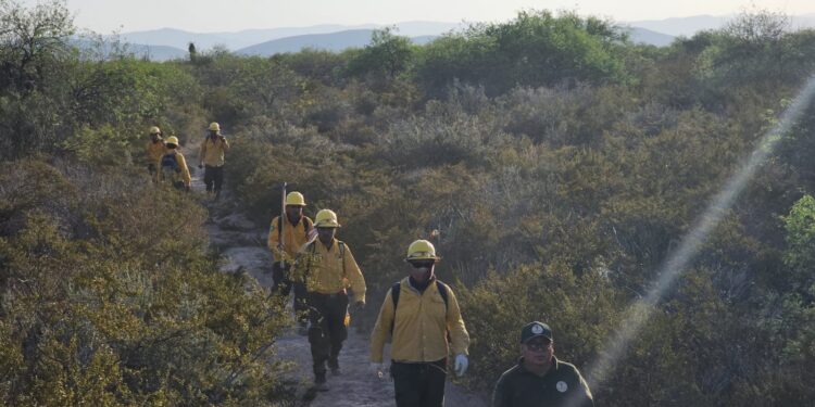 Refuerzan brigadistas de la SEDUMA combate a incendio de pastizales en Tula